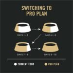 Purina Pro Plan Sensitive Skin and Stomach Dog Food Dry, Adult Salmon & Rice Formula, Digestive Health - 30 lb. Bag - Image 13