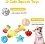 Dog Toys 25 Pack for Fun and Teeth Cleaning, Puppy Chew Toys Pack with Squeak Plush Toy,Squeaky Toy Balls,Tug of War and Rope Toys for Puppy to Small Dogs - Image 4