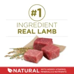 Purina ONE Dry Dog Food Lamb and Rice Formula 8 lb. Bag - Image 4