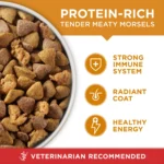 Purina One Dry Dog Food for Adult Dogs High Protein, Real Chicken & Rice, 8 lb Bag - Image 3