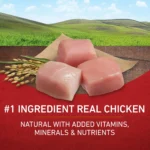 Purina One Dry Dog Food for Adult Dogs High Protein, Real Chicken & Rice, 8 lb Bag - Image 4